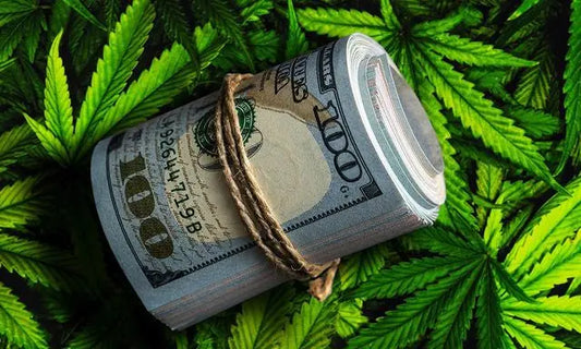The Cannabis Boom: Exploring the Phenomenal Tax Returns in Newly Legalized States - RealBud Camo