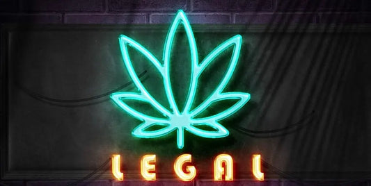 Navigating the Legal Landscape: The Importance of Knowing State Laws for Traveling with Medical Cannabis - RealBud Camo