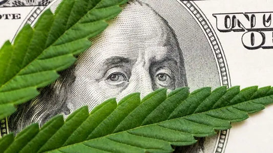 The Green Revolution: Unveiling the Financial Benefits of Legalizing Cannabis - RealBud Camo